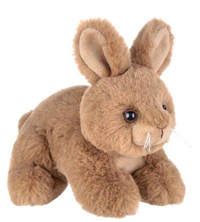 brown bunny